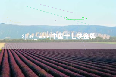 邹平中国十七块金牌