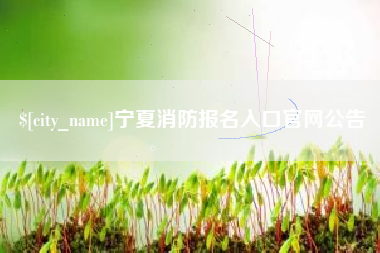 邹平宁夏消防报名入口官网公告