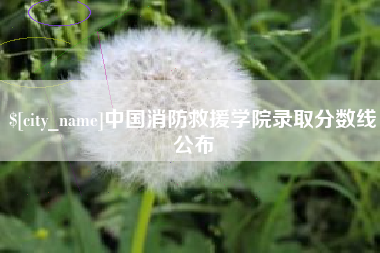 邹平中国消防救援学院录取分数线公布