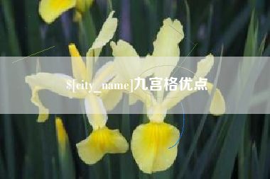 邹平九宫格优点