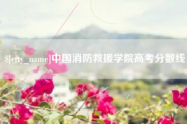 邹平中国消防救援学院高考分数线