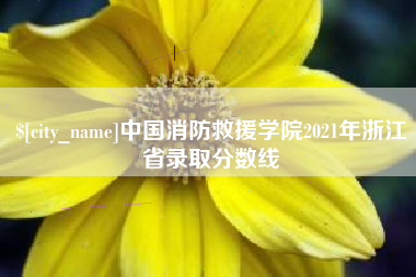 邹平中国消防救援学院2021年浙江省录取分数线