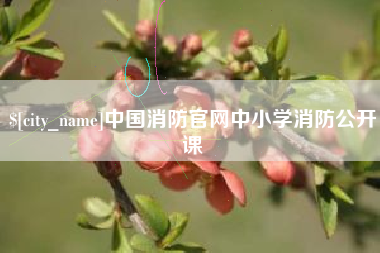 邹平中国消防官网中小学消防公开课