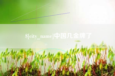 邹平中国几金牌了