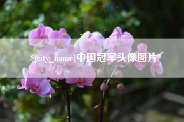 邹平中国冠军头像图片