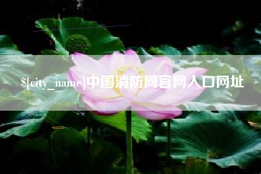 邹平中国消防网官网入口网址