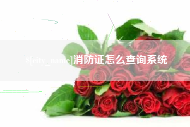 邹平消防证怎么查询系统