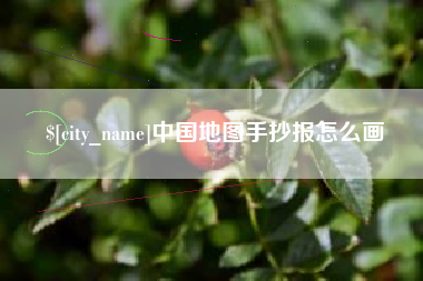 邹平中国地图手抄报怎么画
