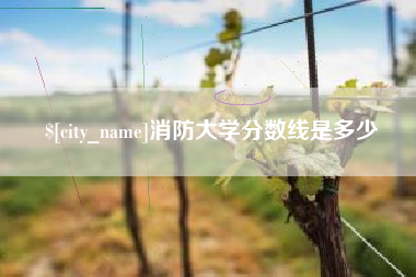 邹平消防大学分数线是多少