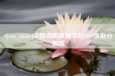 邹平中国消防救援学院2019录取分数线
