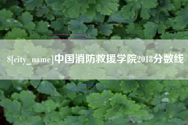 邹平中国消防救援学院2018分数线