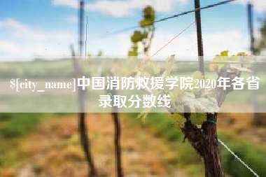 邹平中国消防救援学院2020年各省录取分数线