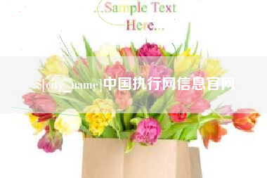 邹平中国执行网信息官网