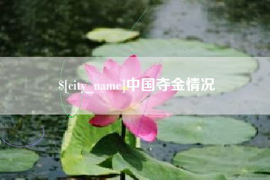 邹平中国夺金情况