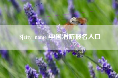 邹平中国消防报名入口