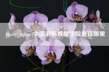 邹平中国消防救援学院是在哪里