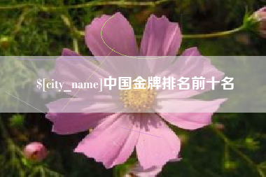邹平中国金牌排名前十名