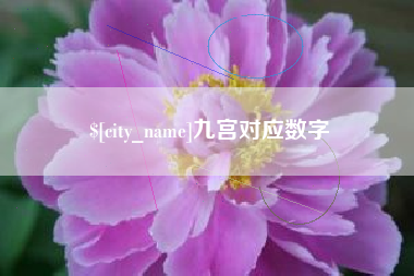 邹平九宫对应数字