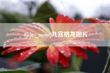 邹平九宫格龙图片