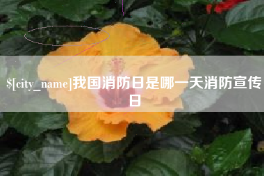 邹平我国消防日是哪一天消防宣传日