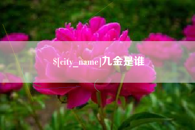 邹平九金是谁