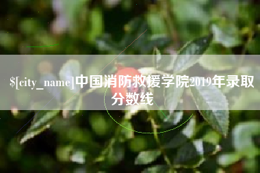 邹平中国消防救援学院2019年录取分数线