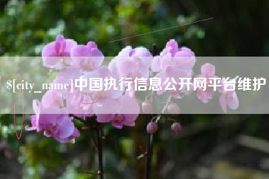 邹平中国执行信息公开网平台维护