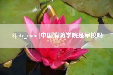 邹平中国消防学院是军校吗