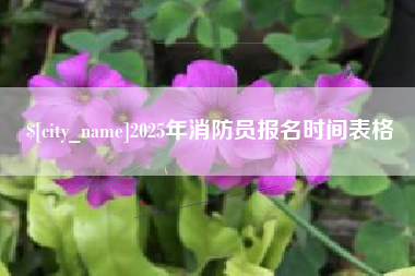 邹平2025年消防员报名时间表格