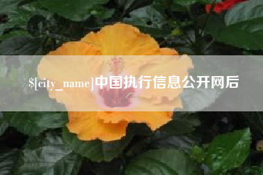 邹平中国执行信息公开网后