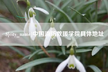 邹平中国消防救援学院具体地址