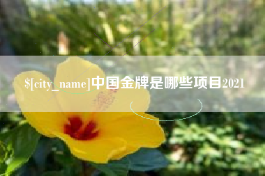 邹平中国金牌是哪些项目2021