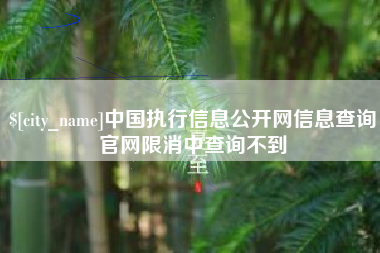 邹平中国执行信息公开网信息查询官网限消中查询不到