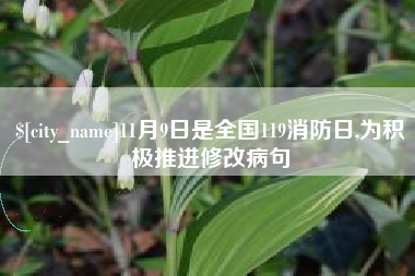 邹平11月9日是全国119消防日,为积极推进修改病句