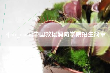 邹平中国救援消防学院招生简章