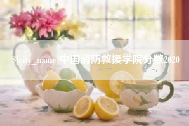 邹平中国消防救援学院分数2020