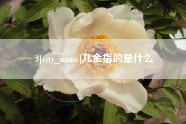 邹平九金指的是什么