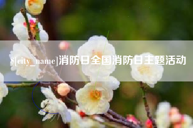 邹平消防日全国消防日主题活动
