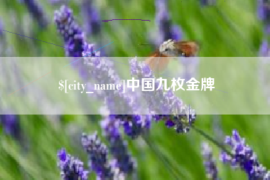 邹平中国九枚金牌
