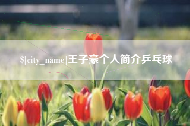 邹平王子豪个人简介乒乓球