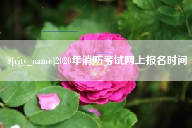 邹平2020年消防考试网上报名时间