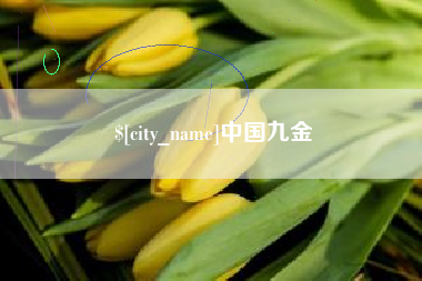 邹平中国九金