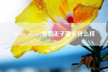 邹平看看王子豪长什么样