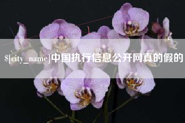 邹平中国执行信息公开网真的假的