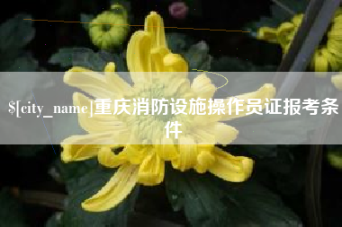 邹平重庆消防设施操作员证报考条件