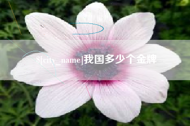邹平我国多少个金牌