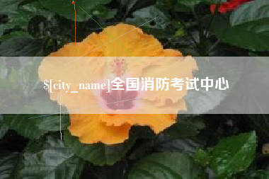 邹平全国消防考试中心