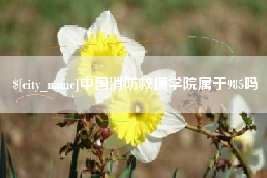 邹平中国消防救援学院属于985吗