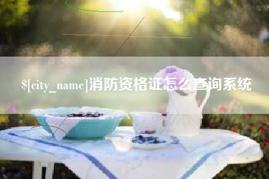 邹平消防资格证怎么查询系统
