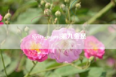 邹平第九金是